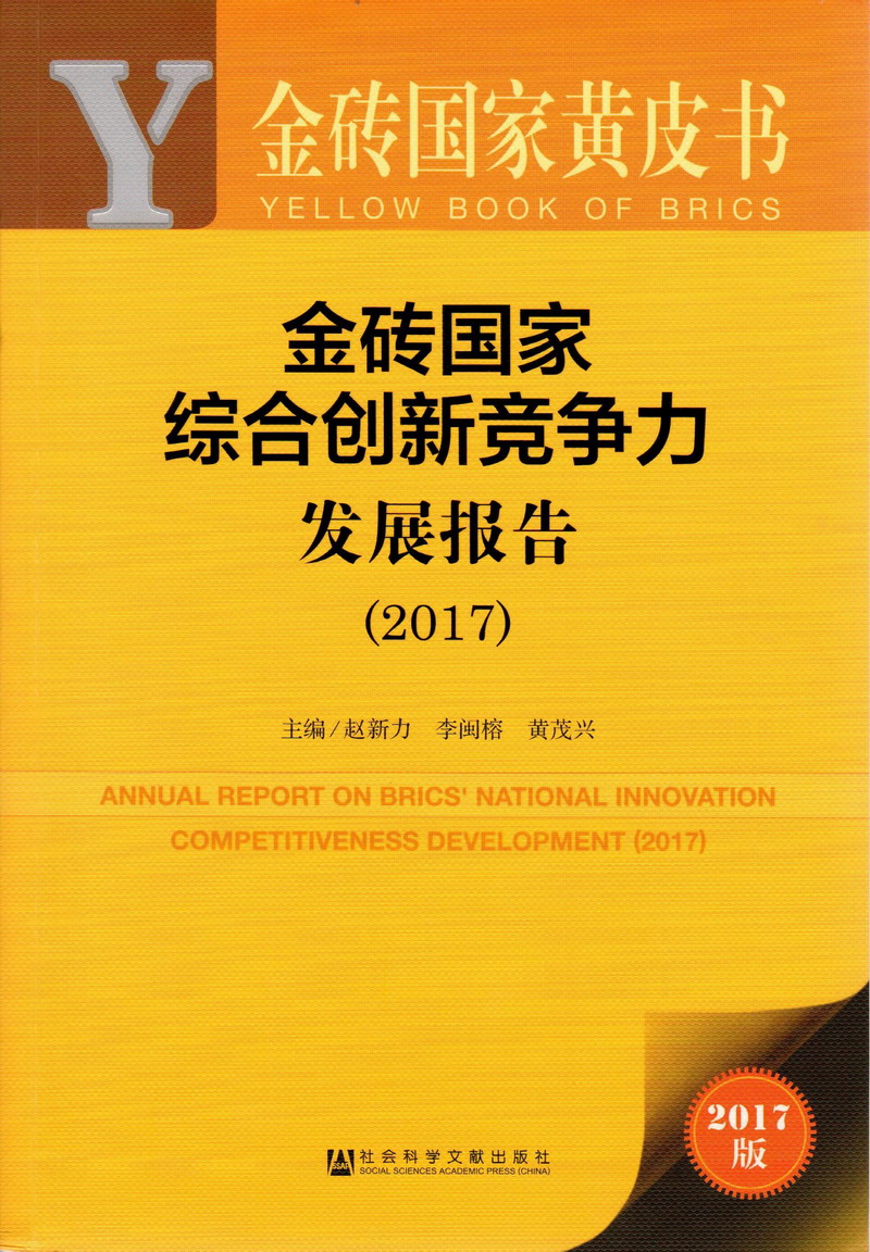 “大屌后入嫩穴啪啪视频啪啪视频”金砖国家综合创新竞争力发展报告（2017）